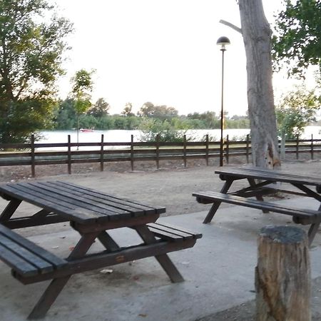 Apartament Somnis Del Delta Deltebre Zewnętrze zdjęcie