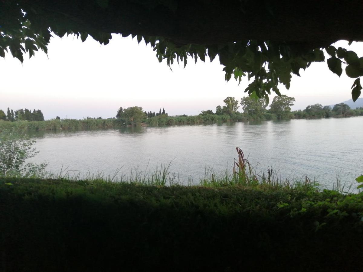 Apartament Somnis Del Delta Deltebre Zewnętrze zdjęcie