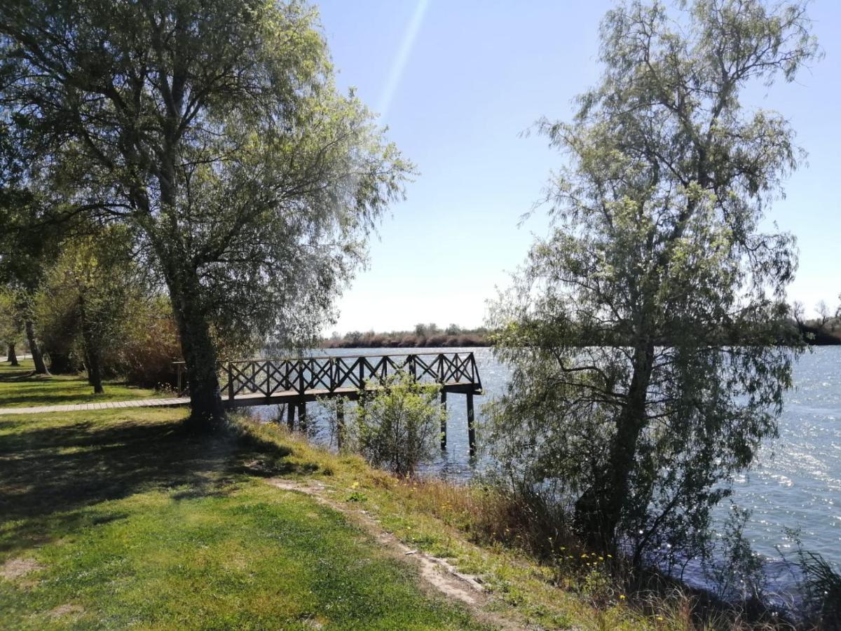 Apartament Somnis Del Delta Deltebre Zewnętrze zdjęcie