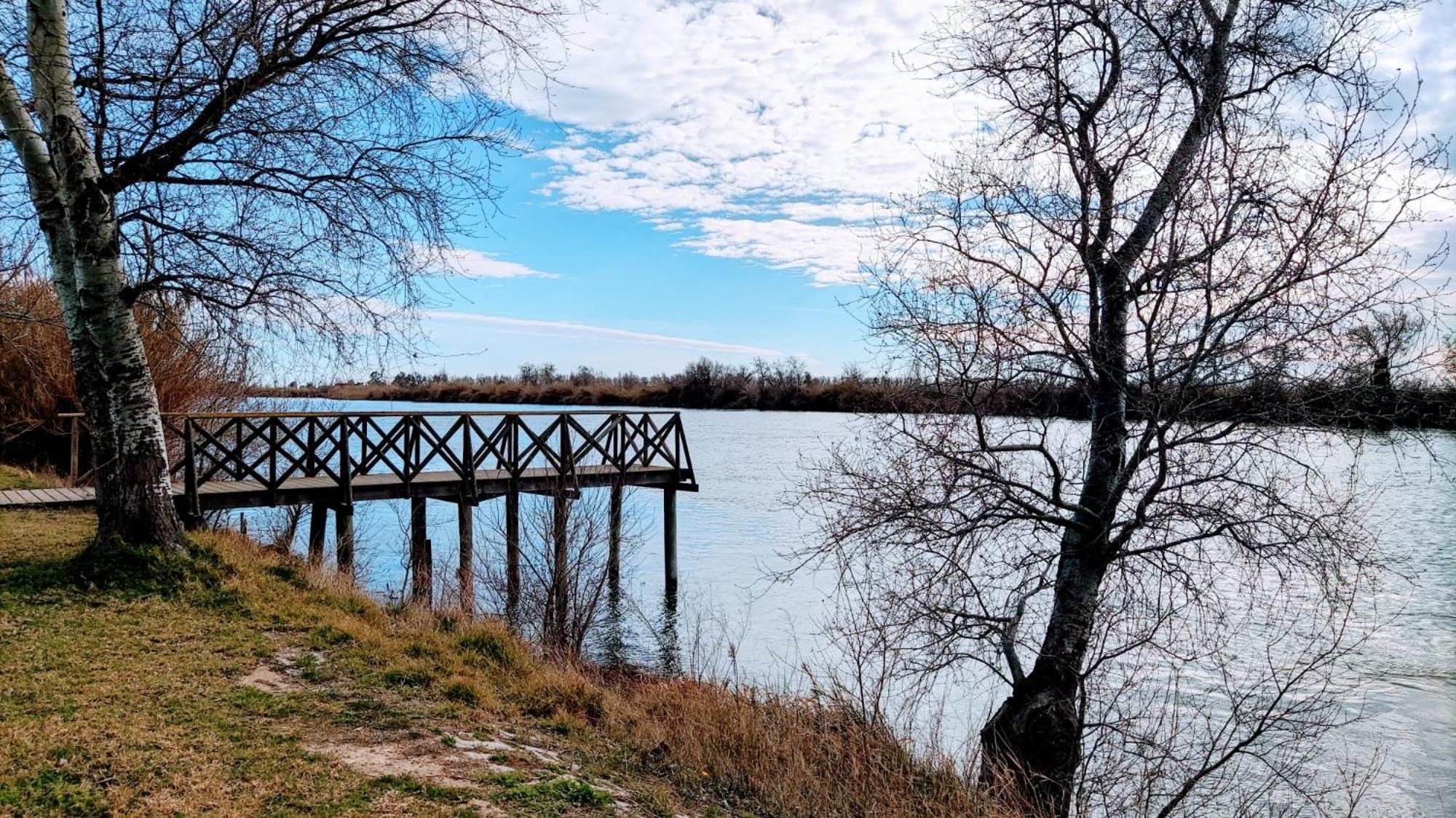 Apartament Somnis Del Delta Deltebre Zewnętrze zdjęcie